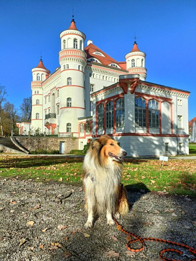 Apartament Widokowy Karkonosze Warmbrunn Kültér fotó